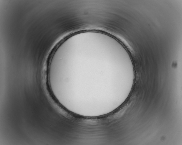 X0000103331126200809051016