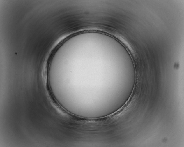 X0000103331127200809051016