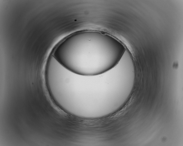 X0000103331128200809051016