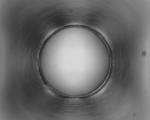 X0000103331129200809051016