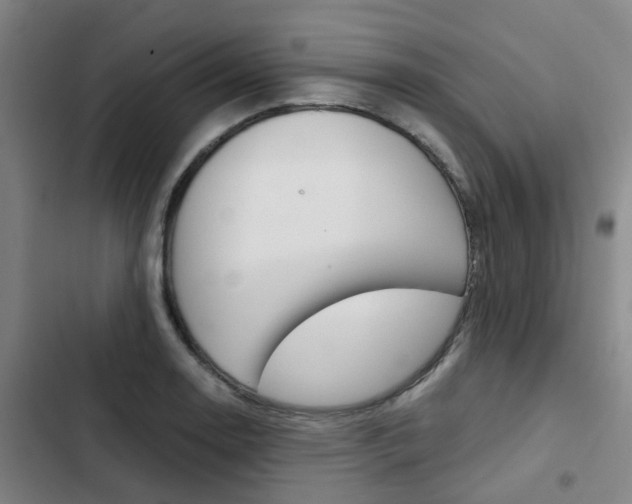 X0000103331130200809051016