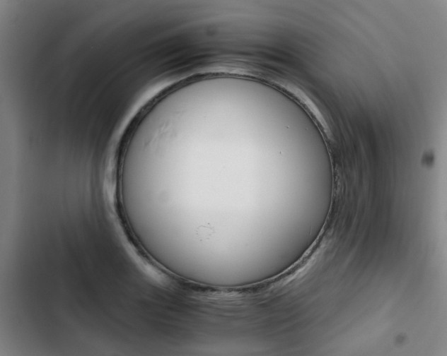 X0000103331131200809051016