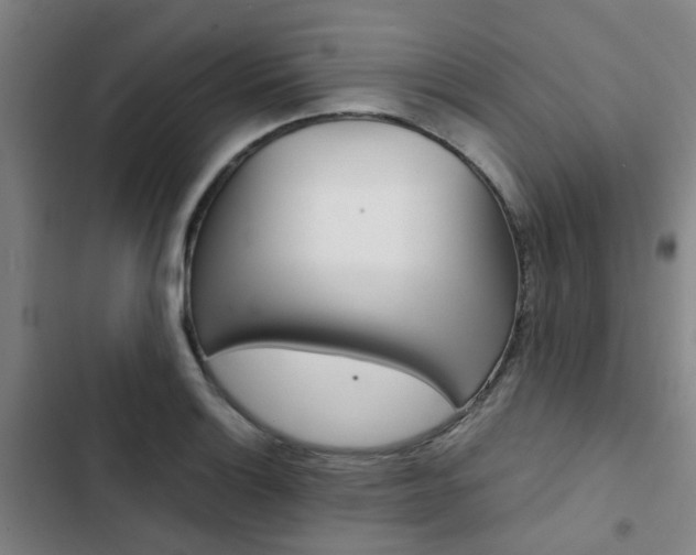 X0000103331132200809051016