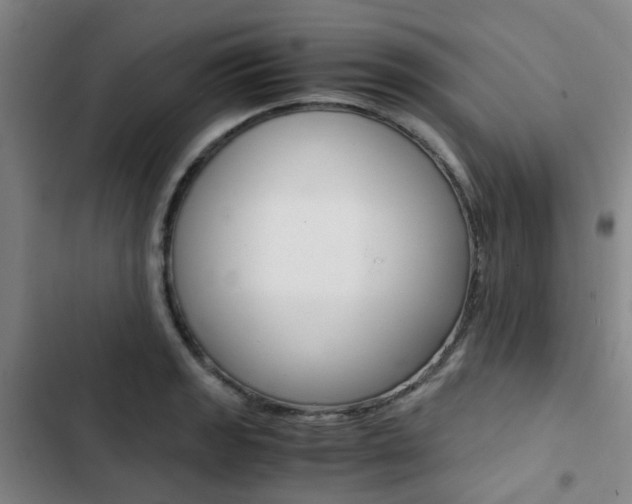 X0000103331133200809051016