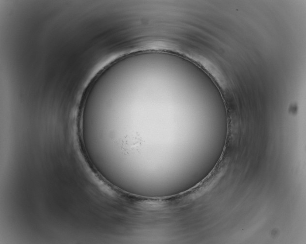 X0000103331134200809051016