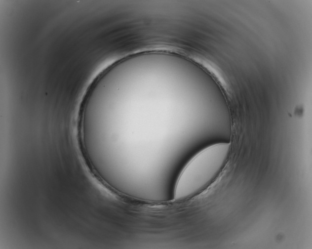 X0000103331135200809051016