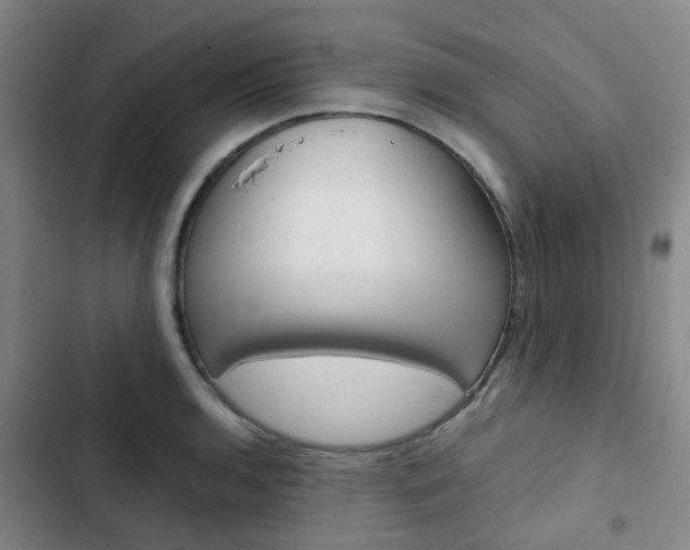 X0000103331136200809051016