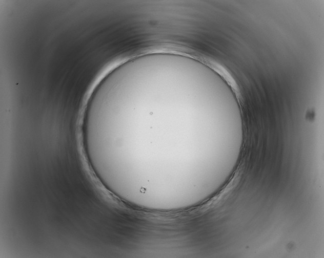 X0000103331138200809051016
