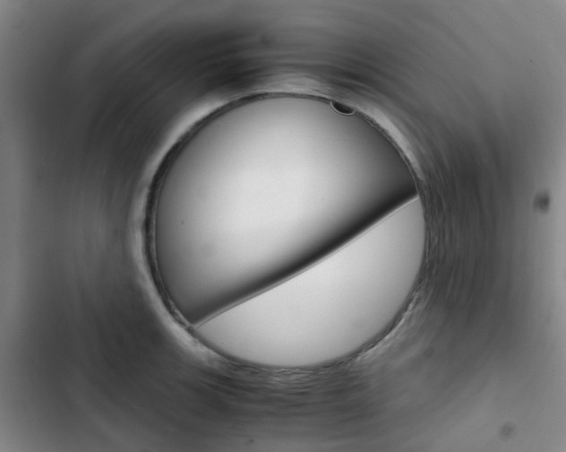 X0000103331139200809051016