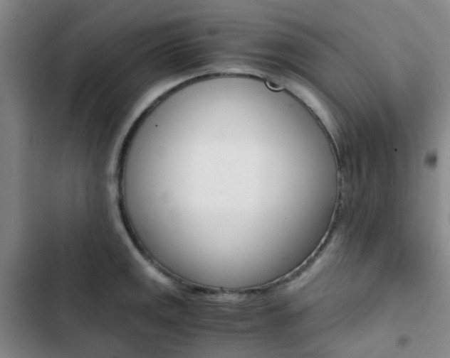 X0000103331141200809051016