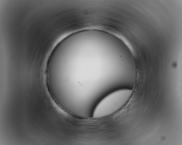 X0000103331143200809051016