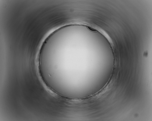 X0000103331144200809051016