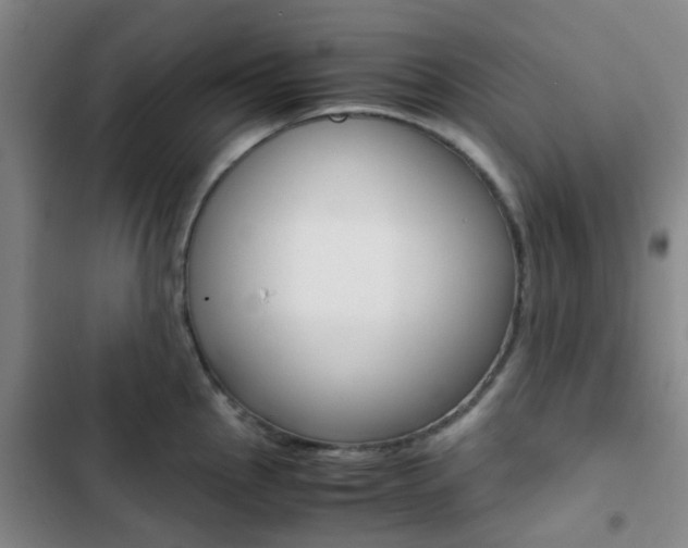 X0000103331145200809051016