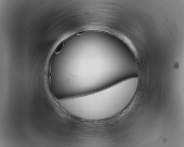 X0000103331146200809051016