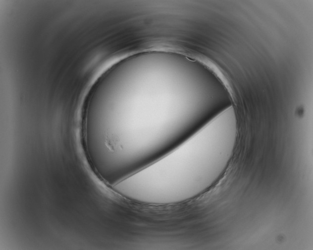 X0000103331147200809051016