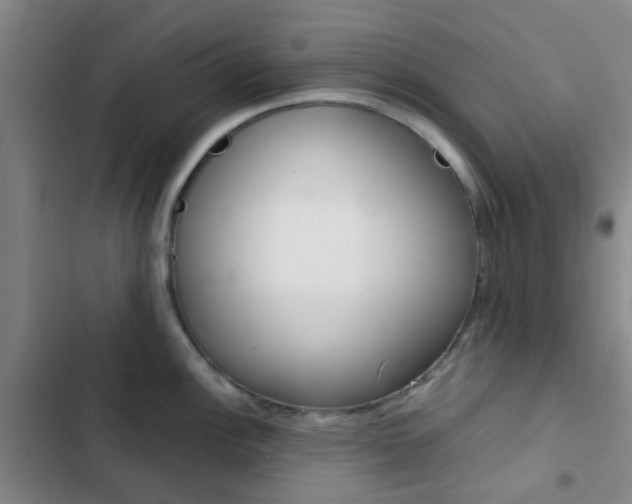 X0000103331148200809051016