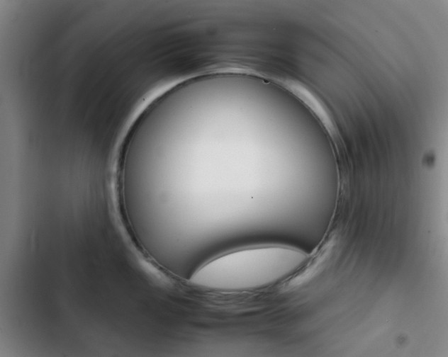 X0000103331149200809051016