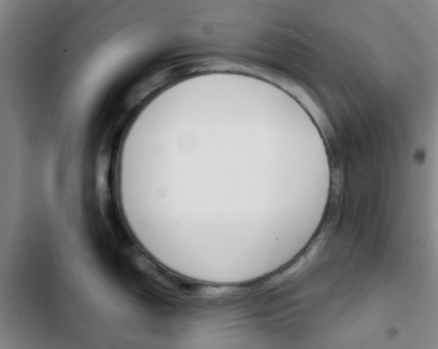 X0000103331150200809051016