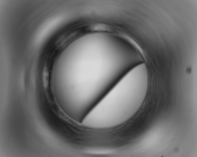 X0000103331151200809051016