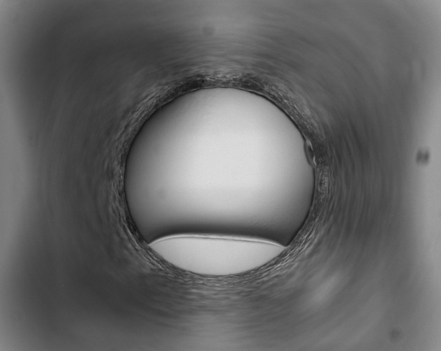 X0000103331153200809051015