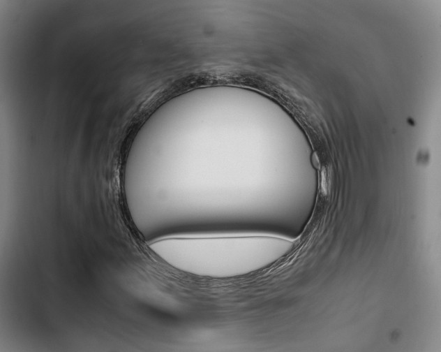 X0000103331155200809051015