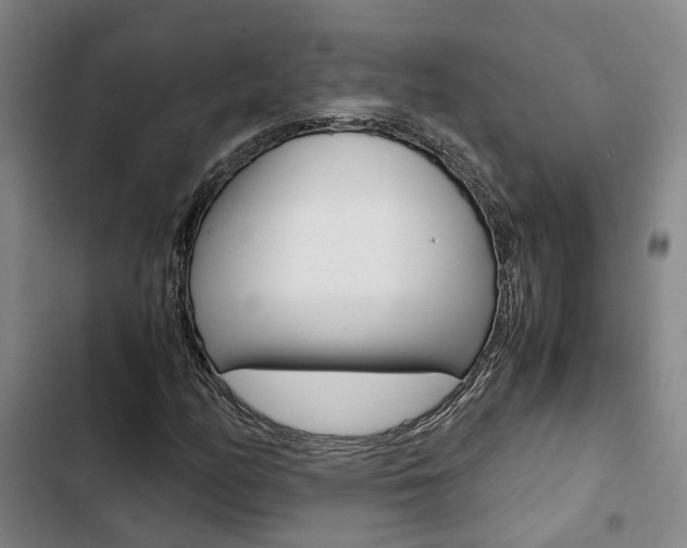 X0000103331158200809051015