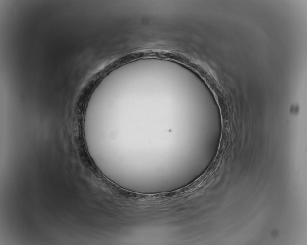 X0000103331159200809051015