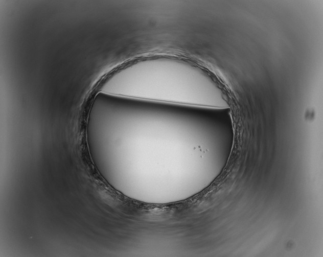 X0000103331160200809051015