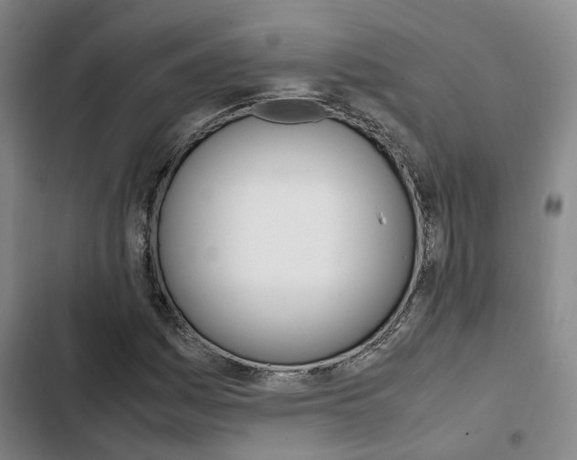 X0000103331161200809051015