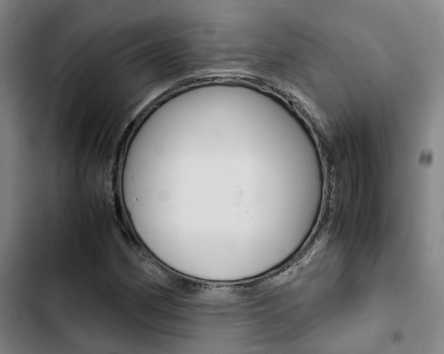 X0000103331162200809051015