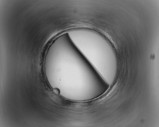 X0000103331163200809051015