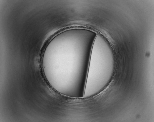 X0000103331164200809051015