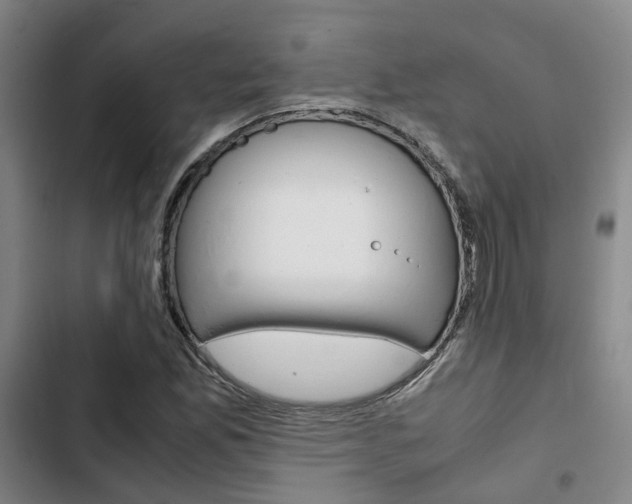 X0000103331165200809051015