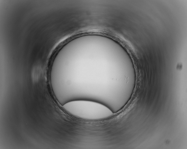 X0000103331166200809051015