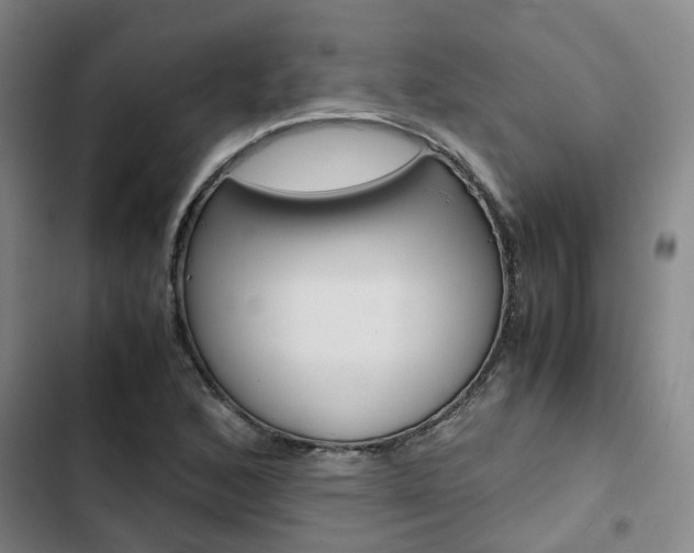 X0000103331168200809051015