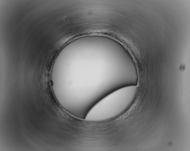 X0000103331169200809051015