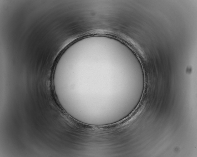 X0000103331170200809051015