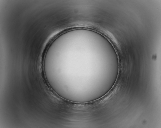 X0000103331172200809051015