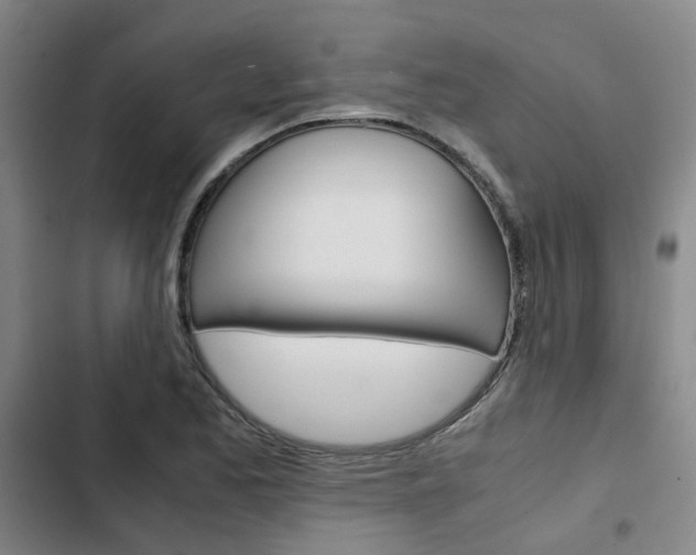 X0000103331173200809051015
