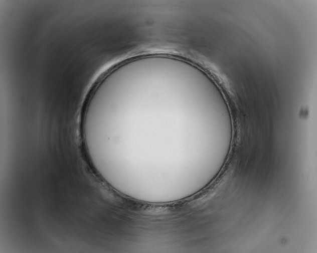 X0000103331174200809051015