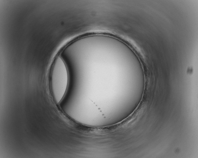 X0000103331175200809051015