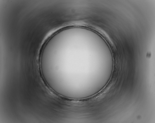 X0000103331176200809051015
