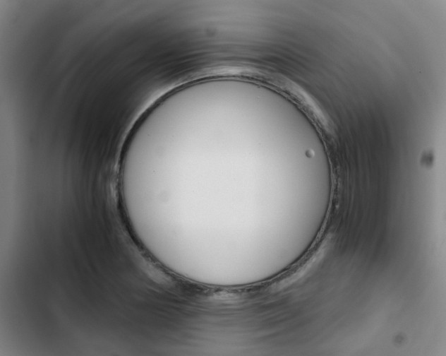 X0000103331178200809051015