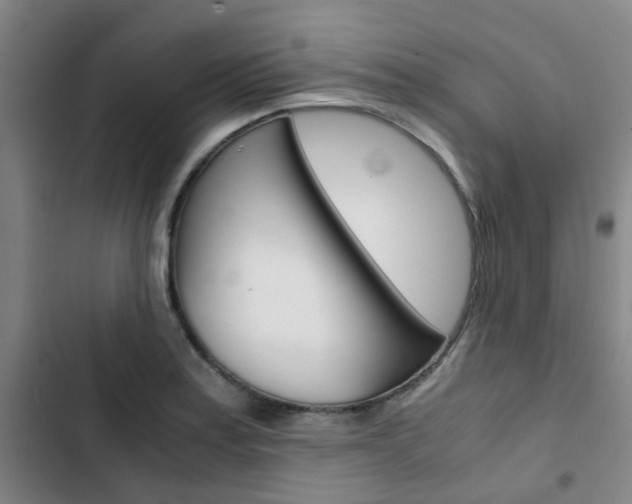 X0000103331179200809051015