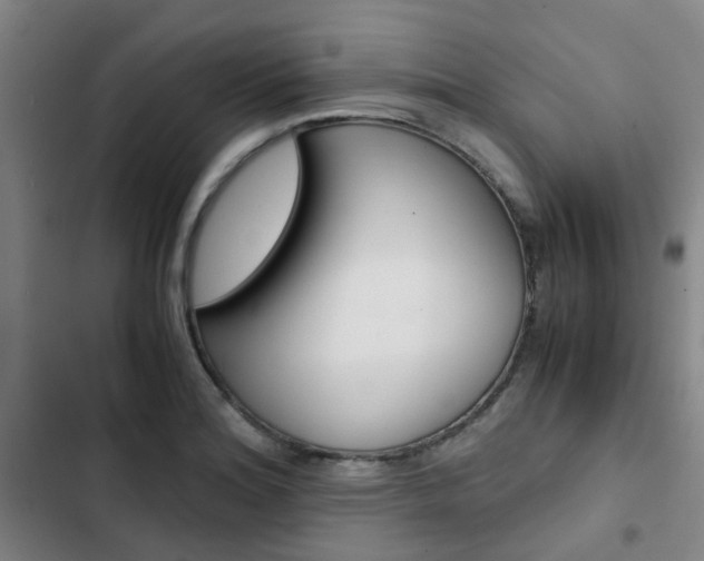 X0000103331180200809051015