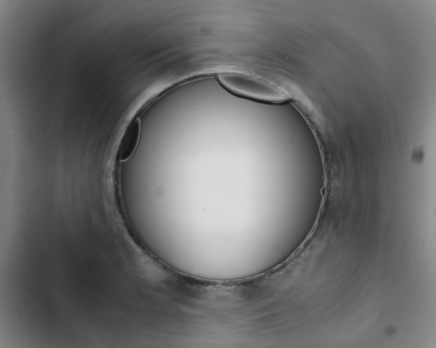 X0000103331181200809051015