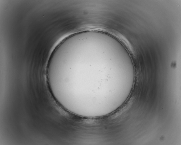 X0000103331182200809051015