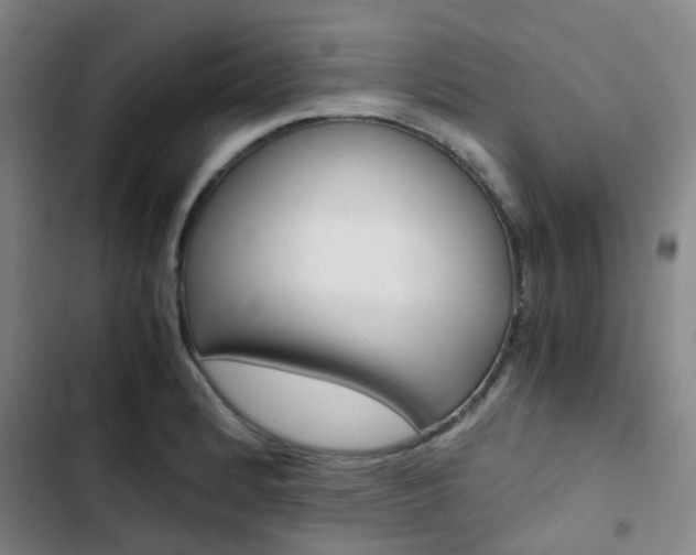X0000103331184200809051015