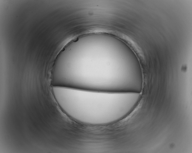 X0000103331185200809051015