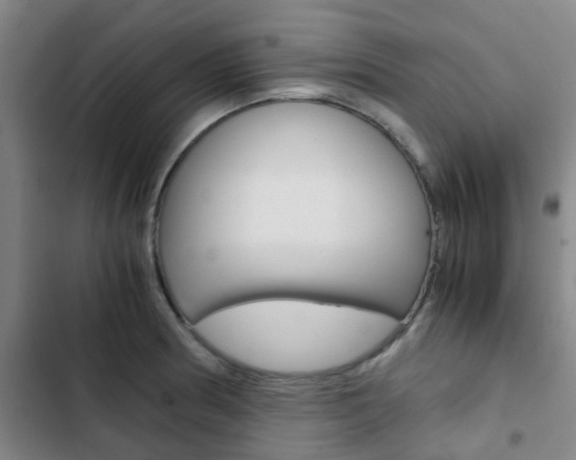 X0000103331186200809051015